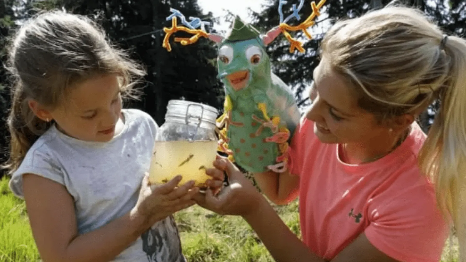 Screenshot_2024-09-12_at_08-48-34_1_k800_westendorf_20180821_1253bearbeitet2-jpg_WEBP-Grafik_750__498_Pixel