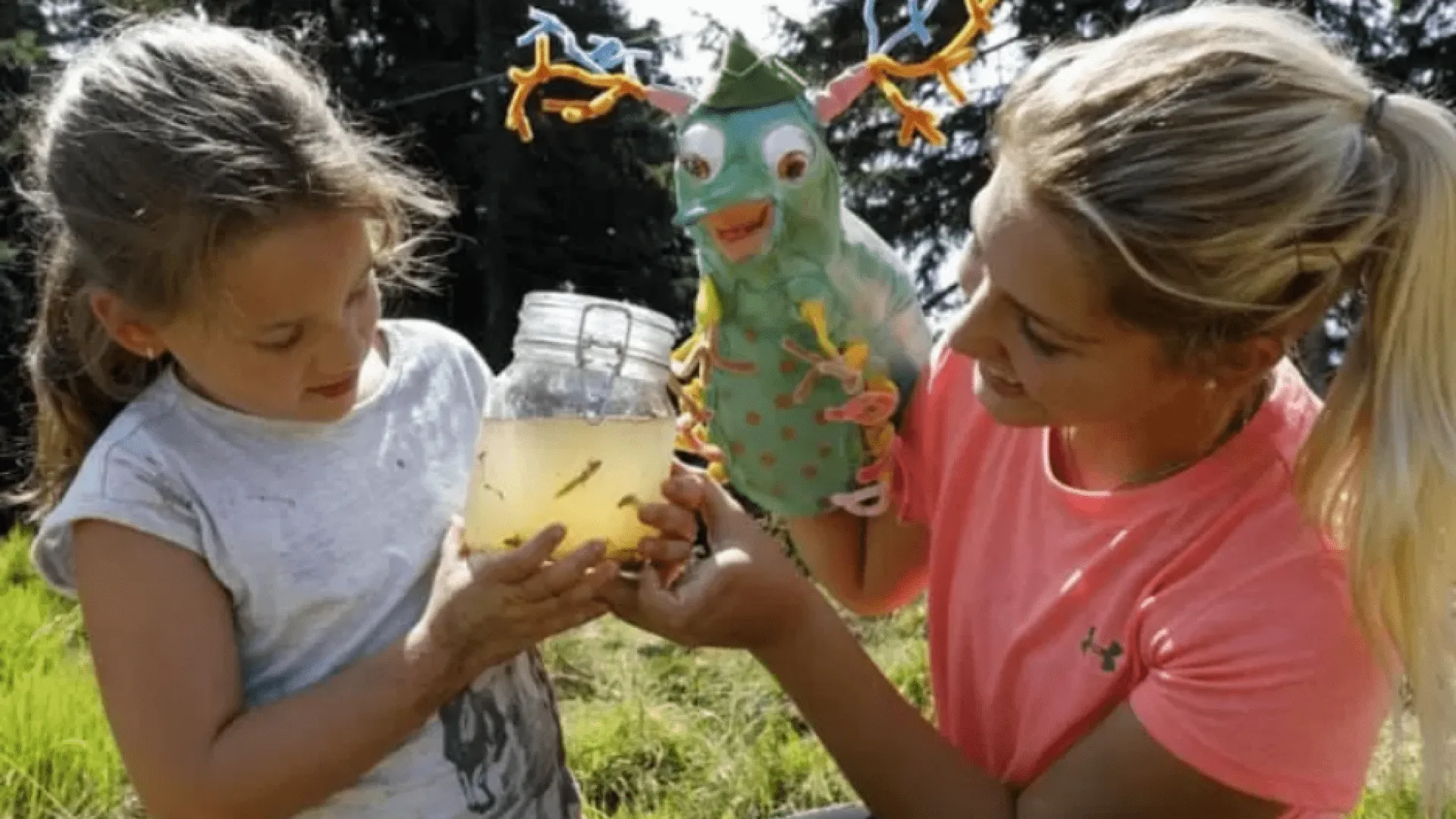 Screenshot_2024-09-12_at_08-48-34_1_k800_westendorf_20180821_1253bearbeitet2-jpg_WEBP-Grafik_750__498_Pixel